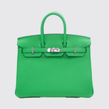 Birkin 25 in Bamboo