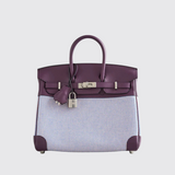 Birkin 25 in Cassis/Mauve Sylvestre/Ecru