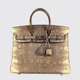 Birkin 25 in Ombre Lizard