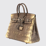 Birkin 25 in Ombre Lizard