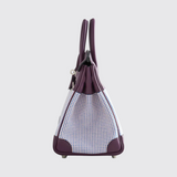 Birkin 25 in Cassis/Mauve Sylvestre/Ecru