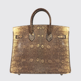 Birkin 25 in Ombre Lizard