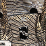 Birkin 25 in Ombre Lizard