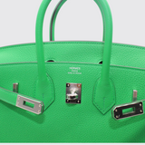 Birkin 25 in Bamboo