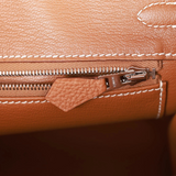 Birkin 25 in Gold