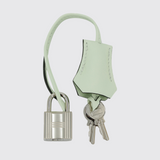 Birkin 25 in Vert Fizz