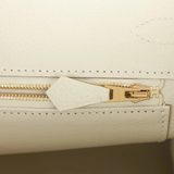 Birkin 30 in Mushroom