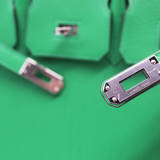 Birkin 25 in Bamboo
