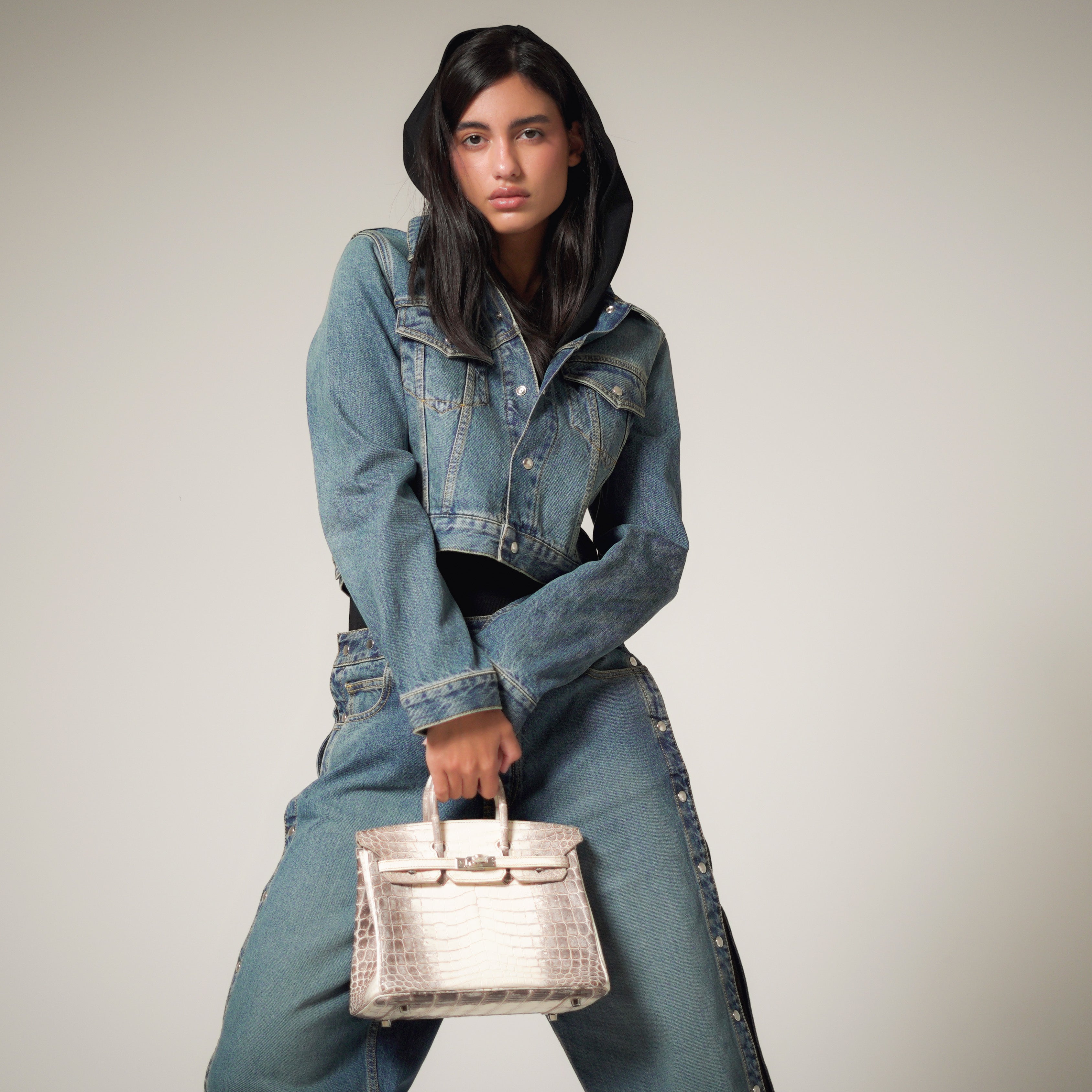 Birkin: A Legacy