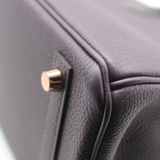Birkin 25 Touch in Raisin/Prunoir