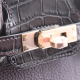 Birkin 25 Touch in Raisin/Prunoir