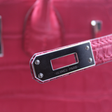 Birkin 25 in Rose Extreme