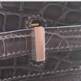 Birkin 25 Touch in Raisin/Prunoir