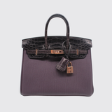 Birkin 25 Touch in Raisin/Prunoir
