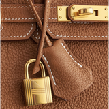 Birkin 25 in Gold