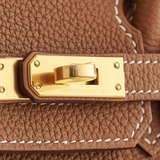 Birkin 25 in Gold