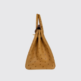 Birkin 25 in Tabac Camel