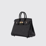 Birkin 25 in Noir