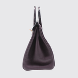 Birkin 25 Touch in Raisin/Prunoir