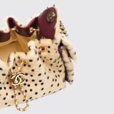 Chanel 25 Mini Handbag