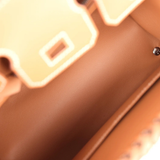 Birkin 25 Picnic in Gold