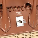 Birkin 25 Picnic in Gold