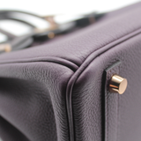 Birkin 25 Touch in Raisin/Prunoir