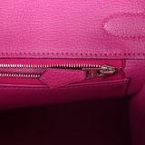 Birkin 30 in Rose Pourpre