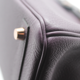 Birkin 25 Touch in Raisin/Prunoir