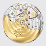 7118/1A - Nautilus