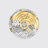 5990/1R - Nautilus